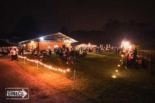 foto-compresse-gin-and-co-2